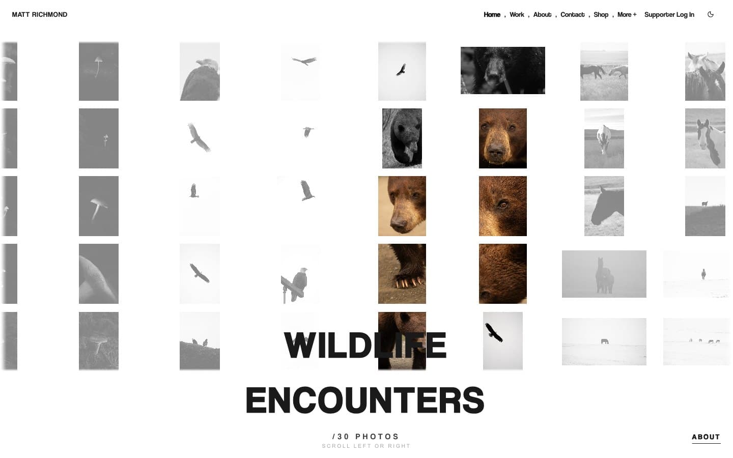 Range of Richmond full page screenshot