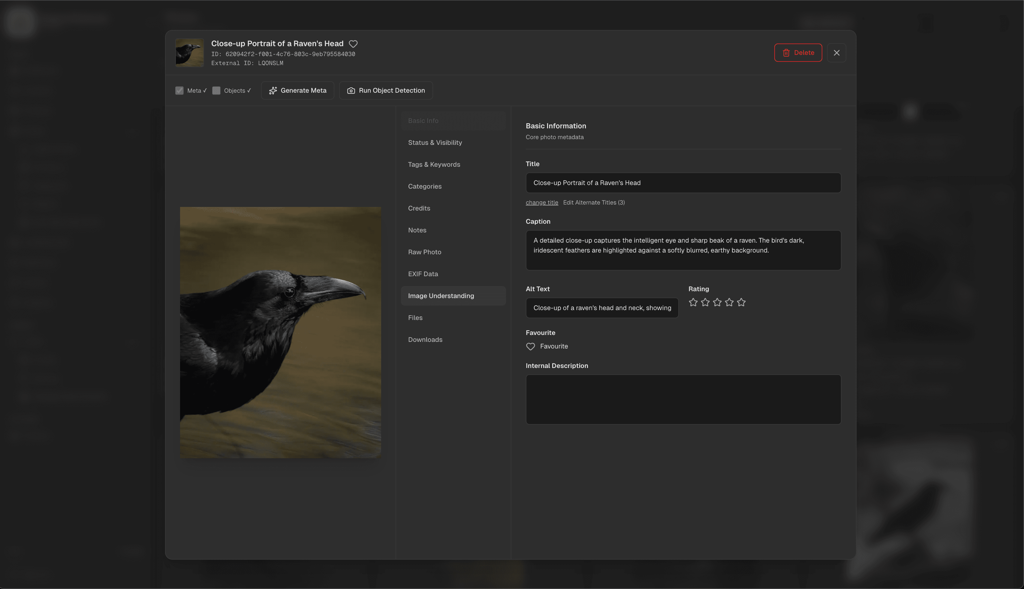 Asset Association View